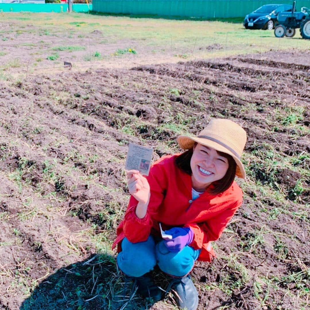 川瀬良子さんのインスタグラム写真 - (川瀬良子Instagram)「13日（土）に、 栃木県真岡市の畑に行ってきました〜🌈 『農縁プロジェクト』@nouenpj 平成最後の作業！ （動画1つ、写真6枚あります🌵） ・ まずは昨年のトマト、ピーマンなど枯れた株、 支柱の撤去。 そして、トラクターで耕して、 畝をみんなで立てて、 野菜の種まき！ ・ 種をまきながら、 仕事や恋愛、たわい無い話をするのですが、 これがまたみんなで農作業をやる 楽しみだったりもします😆👏🏻 ニンジン、スイスチャード、 レタス、バジルなどなど🌱 9畝に、みんなで種をまきましたよ〜！ 芽が出て野菜が成長したら… 畑に緑色が多くなって、 また違う景色になるんですよね～☘️ 成長が楽しみだなぁ～😊 ・ 最後に、 畑のすぐ近くの真岡鐵道のSLも見れました！ 菜の花畑と桜🌸とSL～♪ この季節にしか見られないですからね☀️ 素晴らしい👏🏻 みなさまお疲れ様でした～🌈 ・ ガッツリ農作業をしたので、 次の日もその次の日も 心地良い筋肉痛～😅 ・ 次に農縁の畑に行くときには 「令和」になってるかな～👏🏻 ワクワクしますね～🌱🌱🌱 ・ #栃木県 #真岡市 #農縁プロジェクト #農業 #agriculture #農作業 #農家 さん #畑 #トラクター #土 #畝 #畝立て #種 #種まき #野菜 #芽 #作業着 #workwear #農作業着  #農業女子 #クリフメイヤー #ソラシタ #エーグル #平成最後」4月15日 17時01分 - kawase_ryoko