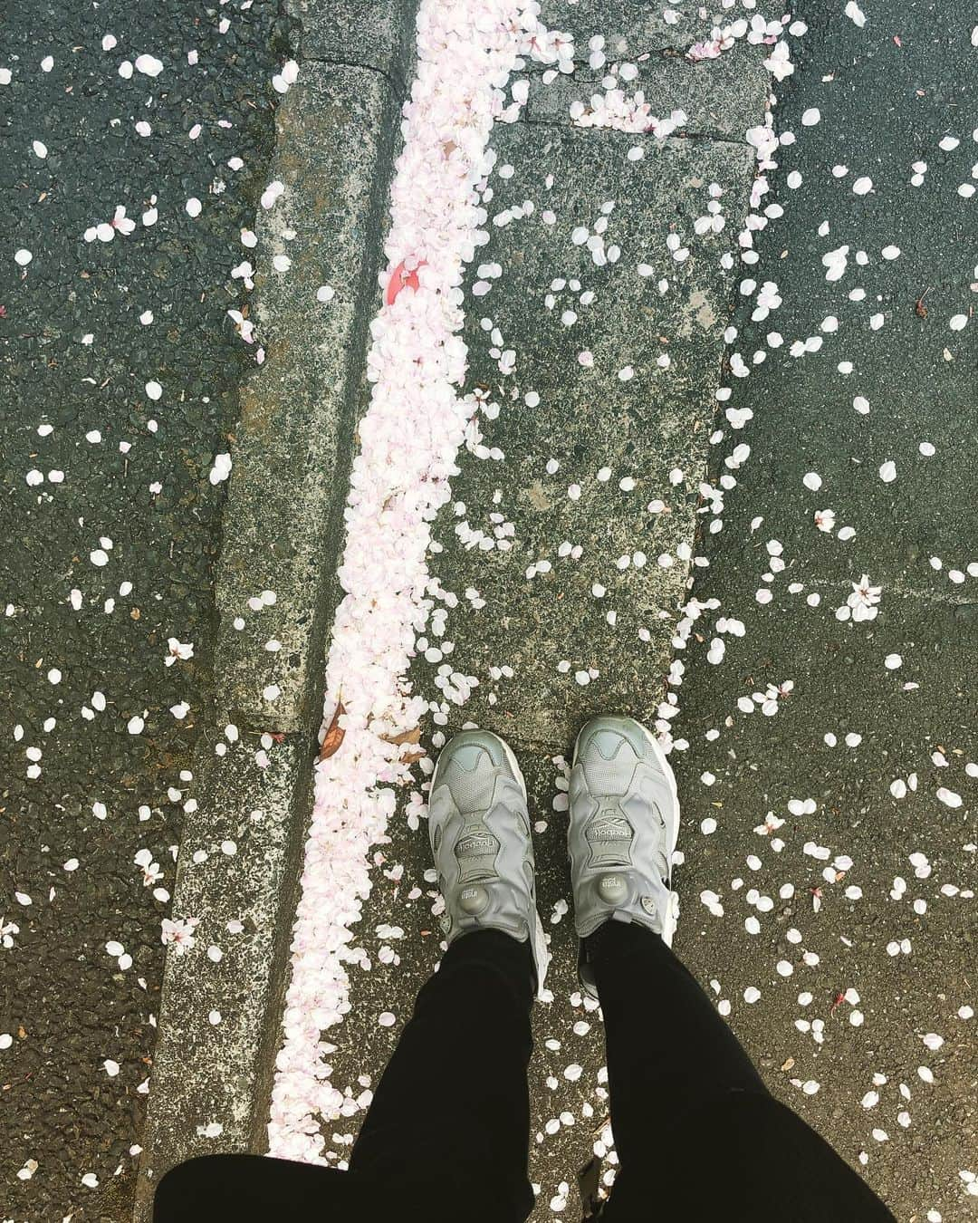 笛木優子さんのインスタグラム写真 - (笛木優子Instagram)「さようなら🌸 また来年お会いしましょう😘」4月15日 17時02分 - yukofuekiyumin