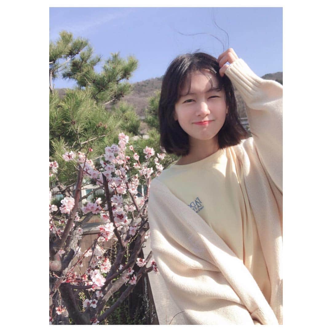 チョン・ソミンのインスタグラム：「4월 중순에야 매화가 피는 조금 추운 우리동네💨 덕분에 한번 더 늦은 #꽃구경 그리고 엄마가 좋아하는 옥상 매화🌸 월요병을극복합시다🌸🌼🌻🌺🌷🌹」