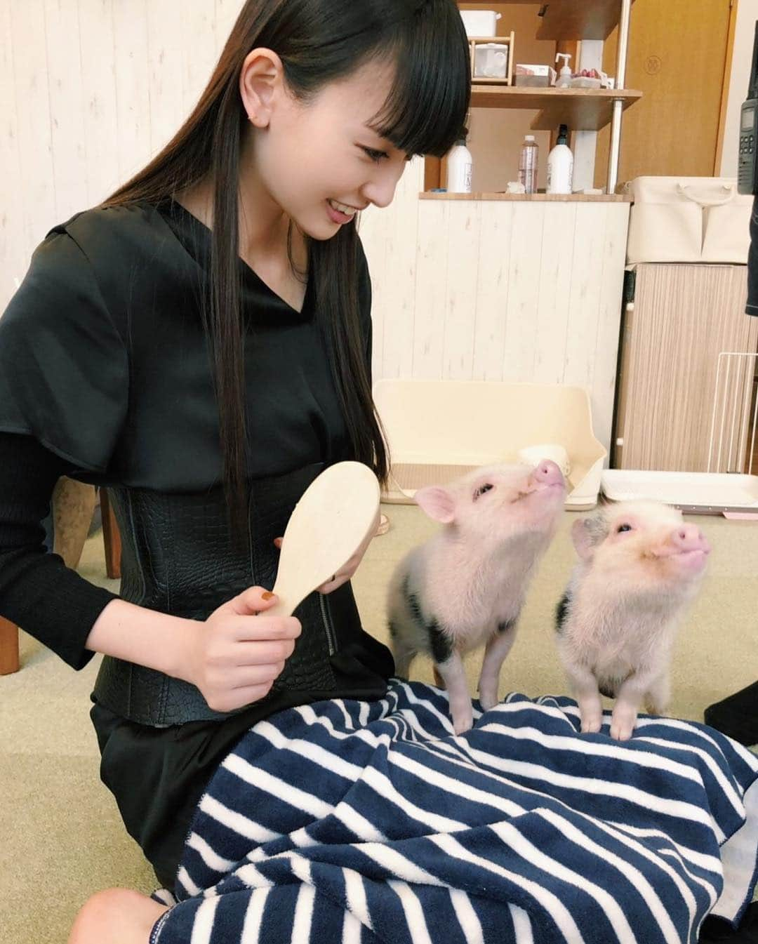 鈴木えみさんのインスタグラム写真 - (鈴木えみInstagram)「マイクロブタさん🐷❤️」4月15日 17時43分 - emisuzuki_official