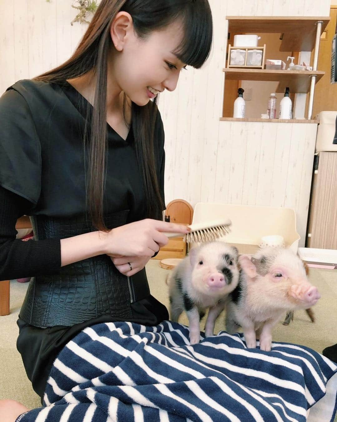 鈴木えみさんのインスタグラム写真 - (鈴木えみInstagram)「マイクロブタさん🐷❤️」4月15日 17時43分 - emisuzuki_official