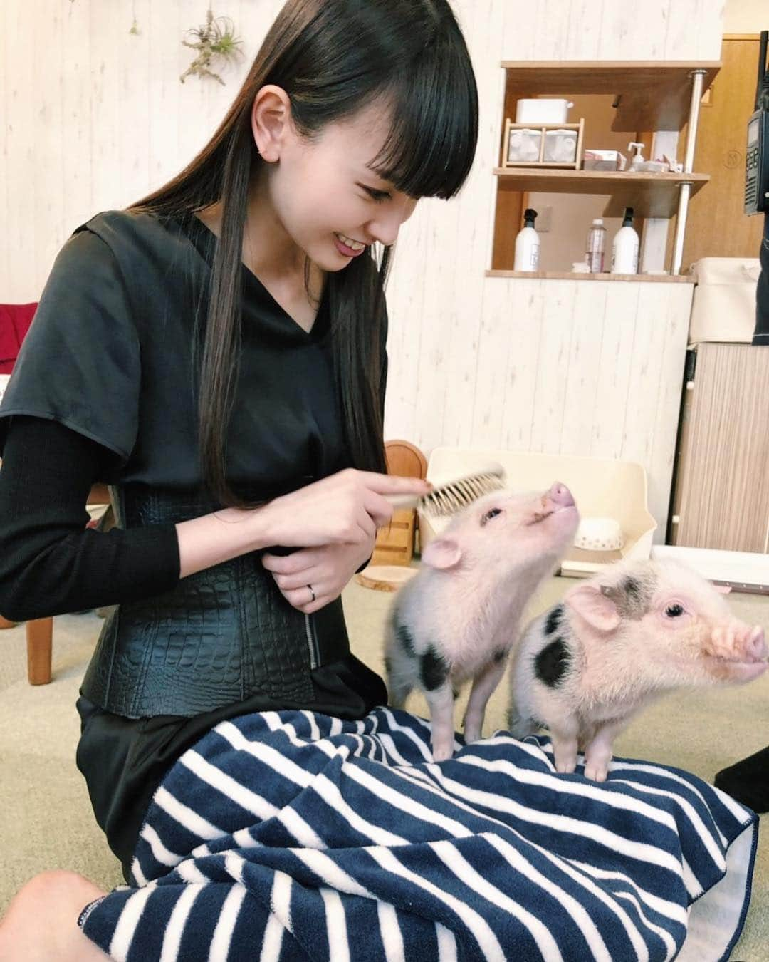 鈴木えみさんのインスタグラム写真 - (鈴木えみInstagram)「マイクロブタさん🐷❤️」4月15日 17時43分 - emisuzuki_official