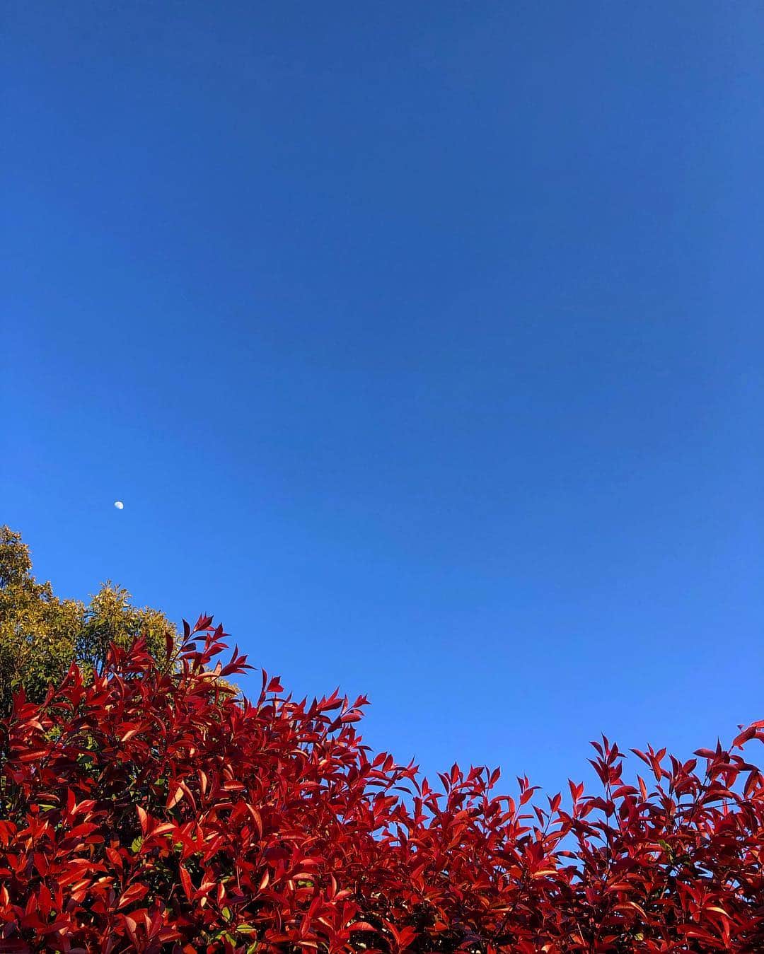 宍戸開さんのインスタグラム写真 - (宍戸開Instagram)「🌙」4月15日 17時47分 - kaishishido