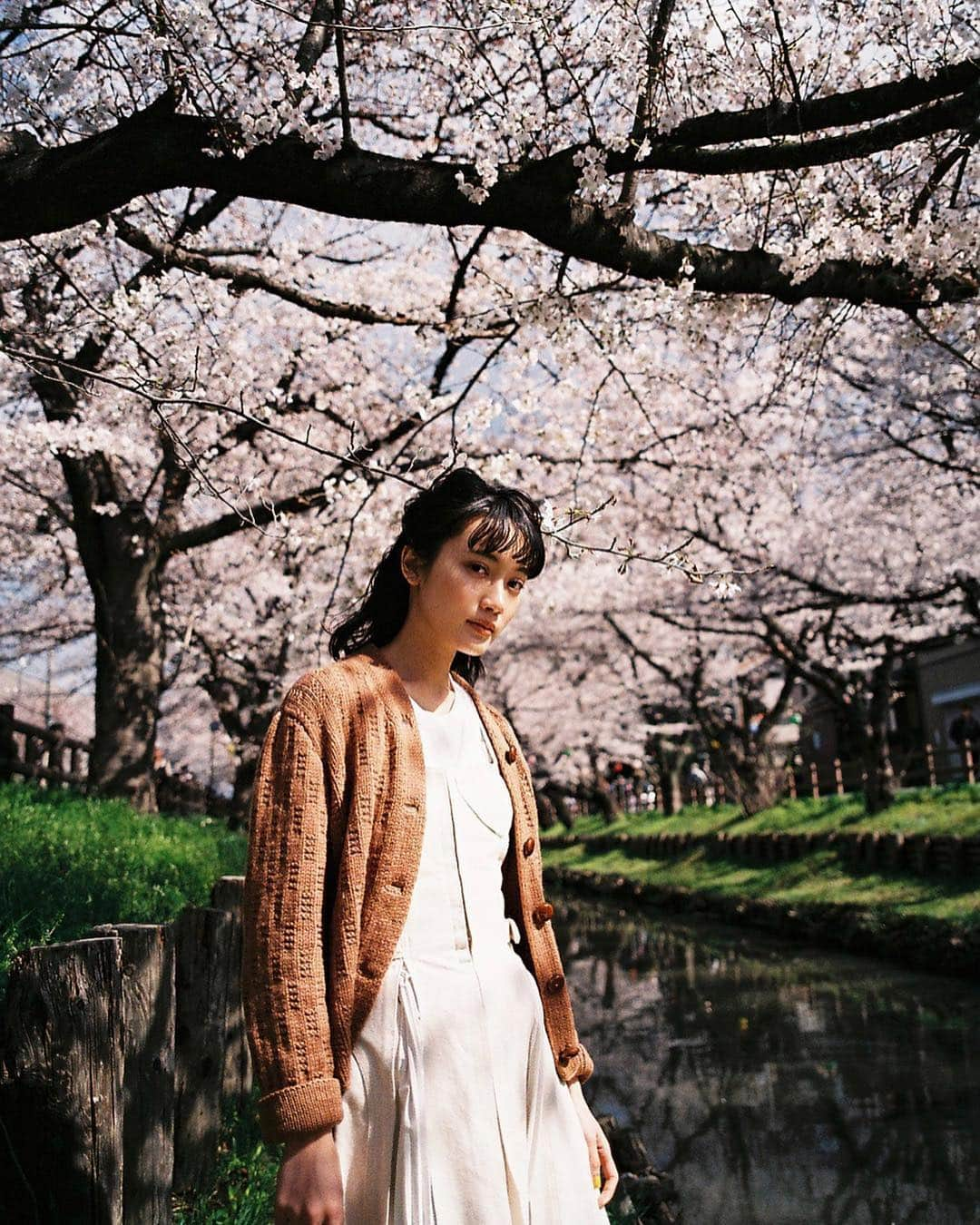 甲斐まりかさんのインスタグラム写真 - (甲斐まりかInstagram)「もう桜も最後かな😢🌸 白いワンピースは大好きな @casa_fline ✨ #contaxg2 #フィルム #まりかの私服」4月15日 18時21分 - mari_ka95