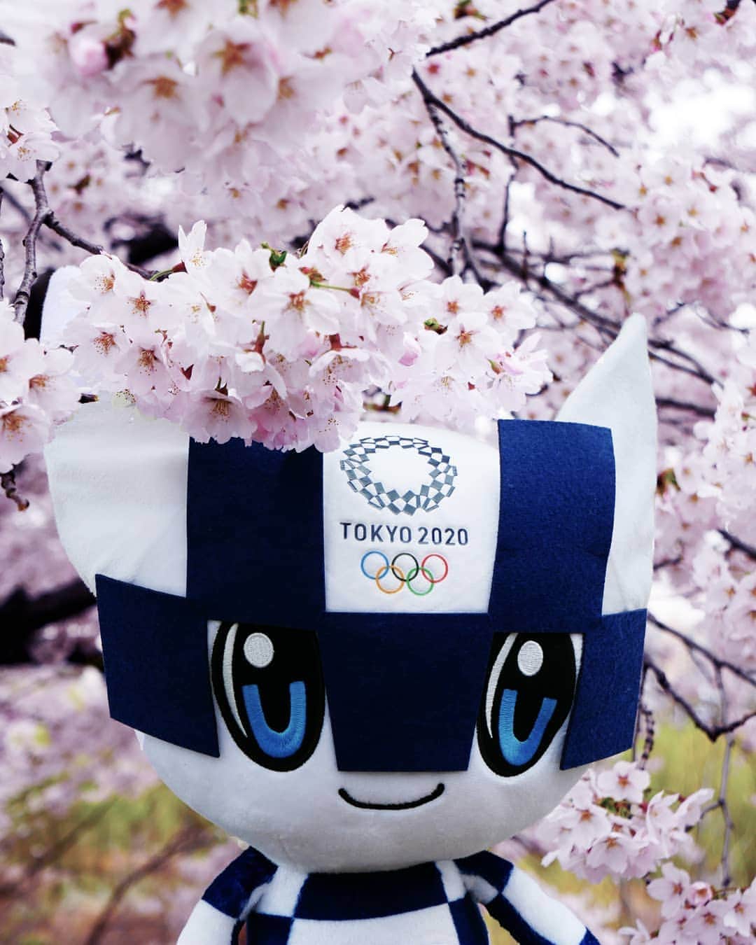 オリンピックさんのインスタグラム写真 - (オリンピックInstagram)「Spring 😗🌸 #Miraitowa @Tokyo2020」4月15日 18時17分 - olympics