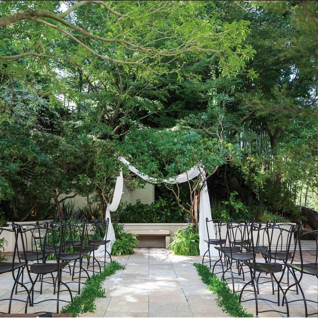 RIVIERA WEDDING　リビエラ ウェディング　公式のグルメインスタ