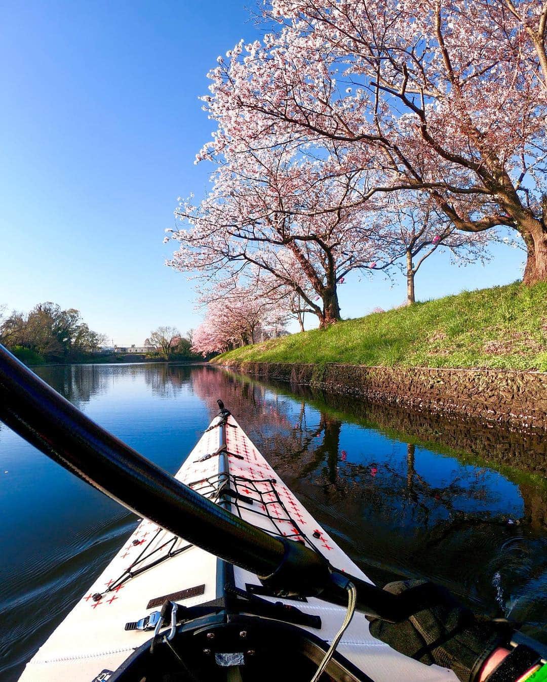 GoProさんのインスタグラム写真 - (GoProInstagram)「カヤックから水上の桜ロードを眺める #GoProファミリー @kanda244 のPOV視点🌸 #TripOn ・ 春のチャレンジ開催中！お気に入りの旅作品を #GoProTravelJapan + #GoProJP のタグをつけてInstagramで投稿してGoProアワードに応募するだけで、豪華な賞品をゲットできるかも？GoPro.com/awards に作品をアップする際は「チャレンジ」覧で「 #TripOn 」を選択してから応募してくださいね👌 ・ ・ ・ #GoPro #Sakura #Kayak #OruKayak #桜 #春 #カヤック」4月15日 18時55分 - goprojp