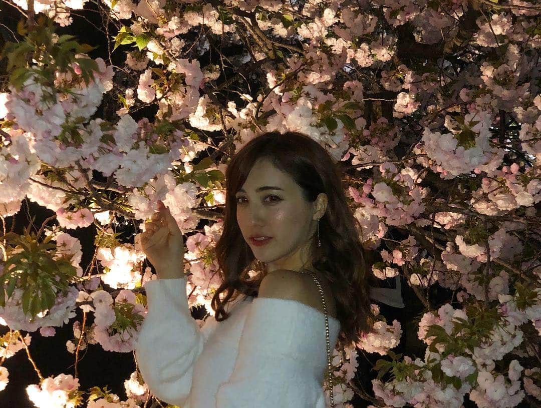 眞木美咲パメラさんのインスタグラム写真 - (眞木美咲パメラInstagram)「Dちゃんと新宿御苑の夜桜見物へ🌸🌙 「Night Garden Party 2019 @新宿御苑」 圧巻の桜👀 ぽったりしてて可愛らしい桜✨ . ステージもあって屋台も出ててお昼とはまた違った楽しみがあった❤️ 白玉ぜんざいならぬタピオカぜんざいみたいな面白いおやつをみつけてしまった👅 ダイエット中断笑 . ステキなパフォーマンスもみれて楽しかった✨ . 桜のあとはユッチャンに移動して安定の冷麺食べて帰りました笑 新宿御苑の夜桜ライトアップは18日まで見れるよん🌸 . #新宿御苑 #FabulousSisters #NINJASKILLBALLERZ @ninjaskillballerz @issei_fsbb @zinez_kamikaze @bug_bug_bug #桜 #夜桜 #cherryblossom」4月15日 19時36分 - pamypamypamy