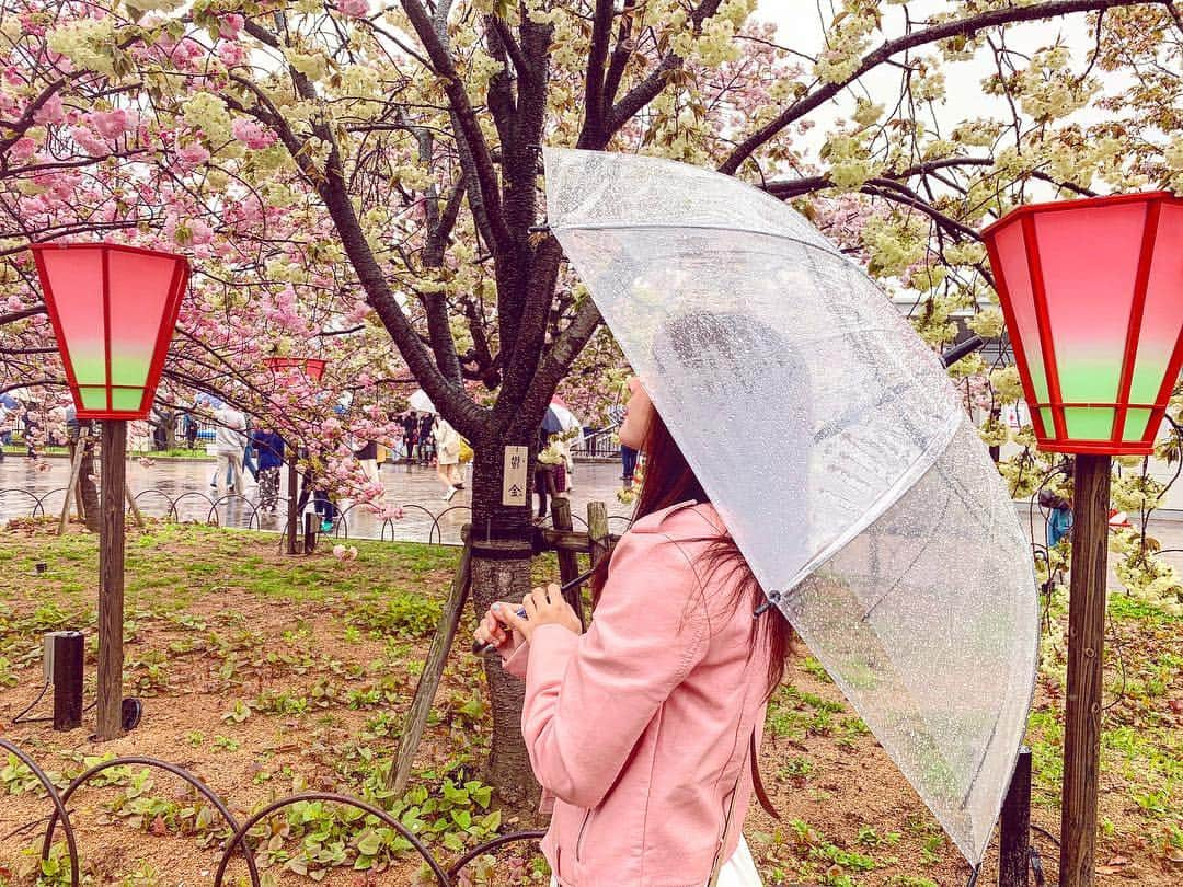 明石奈津子さんのインスタグラム写真 - (明石奈津子Instagram)「この前少しだけ #造幣局  へ🌸  雨だったけど逆に良かったかも☂️ 癒されました🌸  #スマホから桜を見上げ通り抜け  面白い俳句があったから 写真におさめた😂笑」4月15日 20時36分 - nattu_official