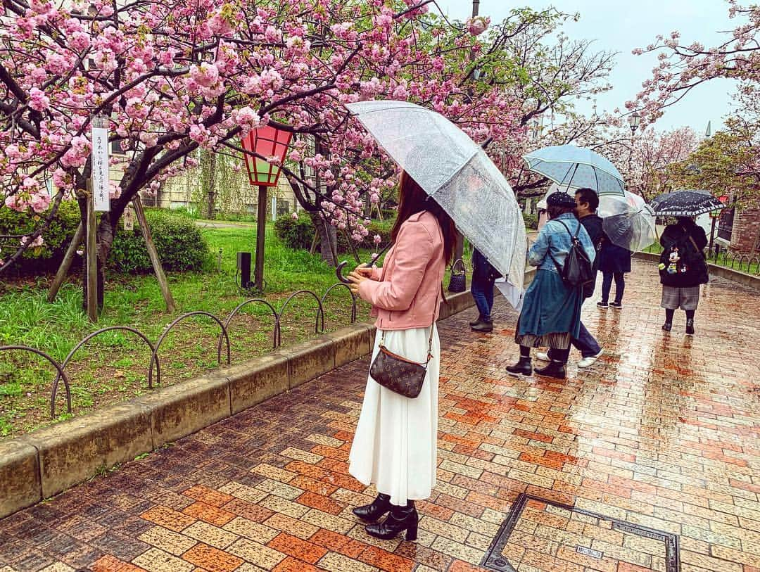 明石奈津子さんのインスタグラム写真 - (明石奈津子Instagram)「この前少しだけ #造幣局  へ🌸  雨だったけど逆に良かったかも☂️ 癒されました🌸  #スマホから桜を見上げ通り抜け  面白い俳句があったから 写真におさめた😂笑」4月15日 20時36分 - nattu_official