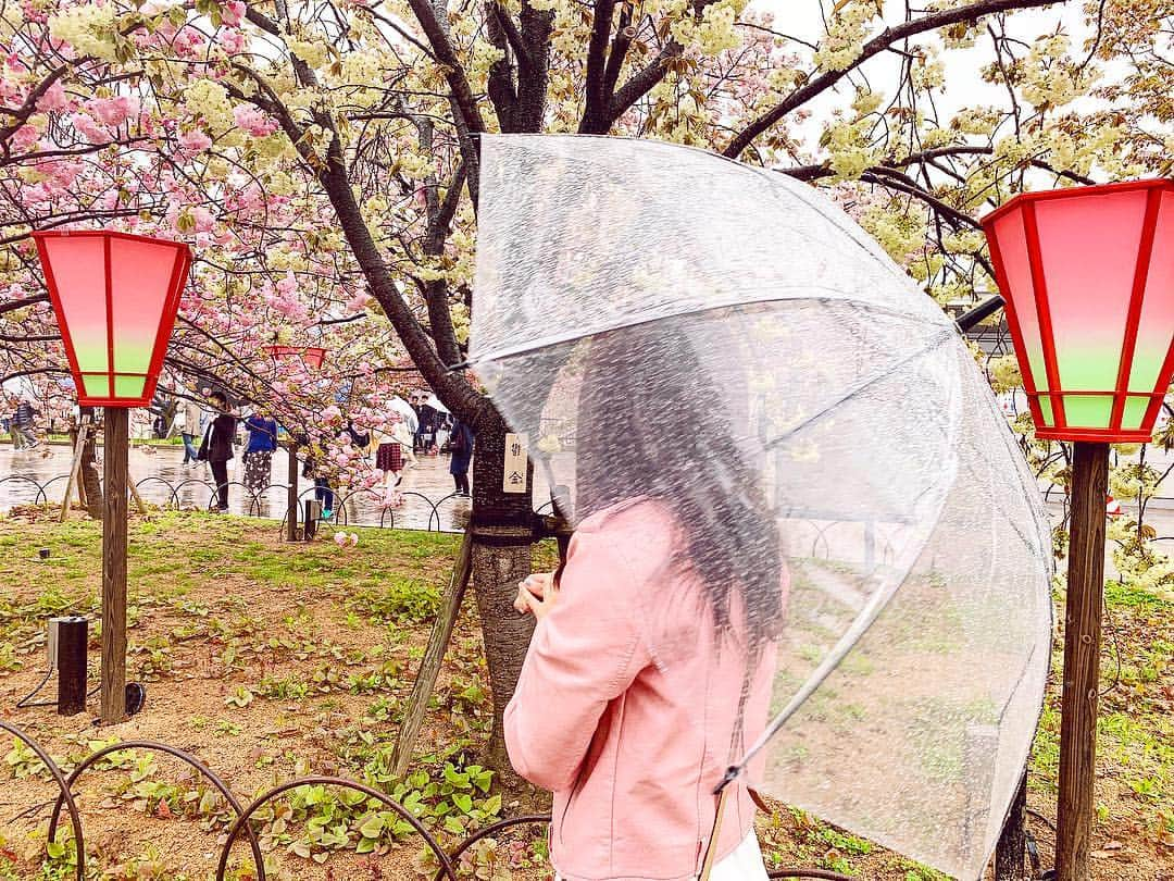 明石奈津子さんのインスタグラム写真 - (明石奈津子Instagram)「この前少しだけ #造幣局  へ🌸  雨だったけど逆に良かったかも☂️ 癒されました🌸  #スマホから桜を見上げ通り抜け  面白い俳句があったから 写真におさめた😂笑」4月15日 20時36分 - nattu_official