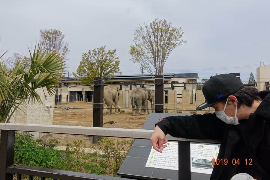 勝地涼さんのインスタグラム写真 - (勝地涼Instagram)「京都のおもひで🌸 ゴリラの親子のように仲良くやってこーな👶🤝👨 護王神社で足腰強くなれよと願い🦶🙏 車折神社でやっと写真撮れたのに 俺指してるの、、福くん🙄👆 #京都動物園 🦍 #護王神社 🐗 #車折神社 👫」4月15日 20時39分 - ryo.katsuji.official