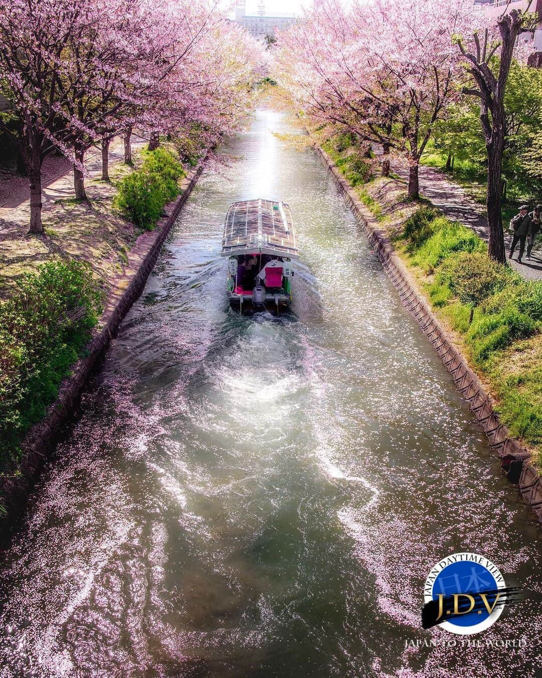 japan_daytime_viewのインスタグラム