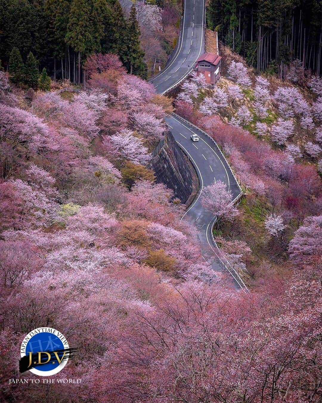 japan_daytime_viewのインスタグラム