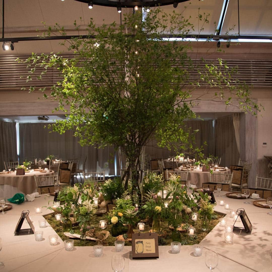 The Sally Garden（ザ サリィガーデン）さんのインスタグラム写真 - (The Sally Garden（ザ サリィガーデン）Instagram)「. #披露宴会場 の中心には 大きな木がゲストみんなをお出迎え . 会場内も緑に包まれた #披露宴会場コーディネート です♡ . 周りのテーブルには 好きな花々を飾って… . . -----おすすめフェア情報----- 【こだわり発見!!初めてでも安心】 #卒ハナ実例紹介フェア(試食付) ----------------------------- 【こだわり発見!!初めてでも安心】 #卒ハナ実例紹介フェア(試食付) . コンセプト別や雰囲気別 ・アットホーム ・ナチュラル ・ドラマチックなど、 さまざまなジャンルから 自由に見ることができるので、 きっとふたりの 《コンセプト》が見つかるはず！ . 詳しくはプロフィールのHPから!! ------------------------------ . 公式ホームページは @the_sally_garden のURLから✴︎ ☞http://sally-garden.jp/ ． ・。*・。*・。*・。*・。*・。*・。*・。*・ . @the_sally_garden をフォローして 『#ザサリィガーデン』をつけて お写真を投稿してみてください＊⑅。 こちらの公式IGで写真がリグラムされるかも♩ . ・。*・。*・。*・。*・。*・。*・。*・。*・ #ザサリィガーデン #gardenwedding #naturalwedding  #wedding #bridal #花嫁diy #結婚式diy #結婚式準備 #ラスティックウェディング  #オリジナルウェディング #ゼクシィ #marry花嫁 #ウェディングニュース #fannyレポ #ウェディングレポ #栃木花嫁 #群馬花嫁  #栃木 #群馬 #プレ花嫁 #結婚式 #卒花  #2019年春婚 #2019年夏婚 #2019wedding」4月15日 21時04分 - the_sally_garden