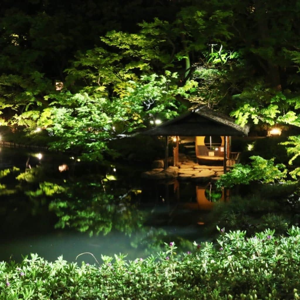 八芳園さんのインスタグラム写真 - (八芳園Instagram)「【はつものを愉しむ】  いよいよ5月1日から令和が始まる今年。 5月2日には夏の訪れを告げる八十八夜を迎えます。  日本では昔から「はつもの」は縁起がよく、 食べると長寿になると言われ 大切にされてきました。  そこで令和元年5月9日に 今年の新茶を味わうイベント 美食縦断2019八十八夜、を 開催いたします。 「はつもの」が重なる今年の新茶は 特別なものとなります。 当日は新茶だけでなく、徳島、福岡、静岡など 全国のお茶の飲み比べや お茶を使った一夜限りのコース料理も。  新緑が美しい庭園と共に 令和元年の新茶を 味わってみませんか？ ［美食縦断2019 八十八夜］ http://www.happo-en.com/banquet/news/detail.php?p=2311  #八芳園 #新緑 #八十八夜 #新茶 #令和 #令和元年 #八女茶 #静岡茶 #徳島県 #イベント #ペアリング #緑 #初夏 #はつもの #茶 #庭園 #日本庭園 #ライトアップ #結婚式 #披露宴 #イベントプロデュース  #happoen #wedding #garden #green #greentea #teacdremony #tokyo #shirokanedai」4月15日 21時16分 - happoen