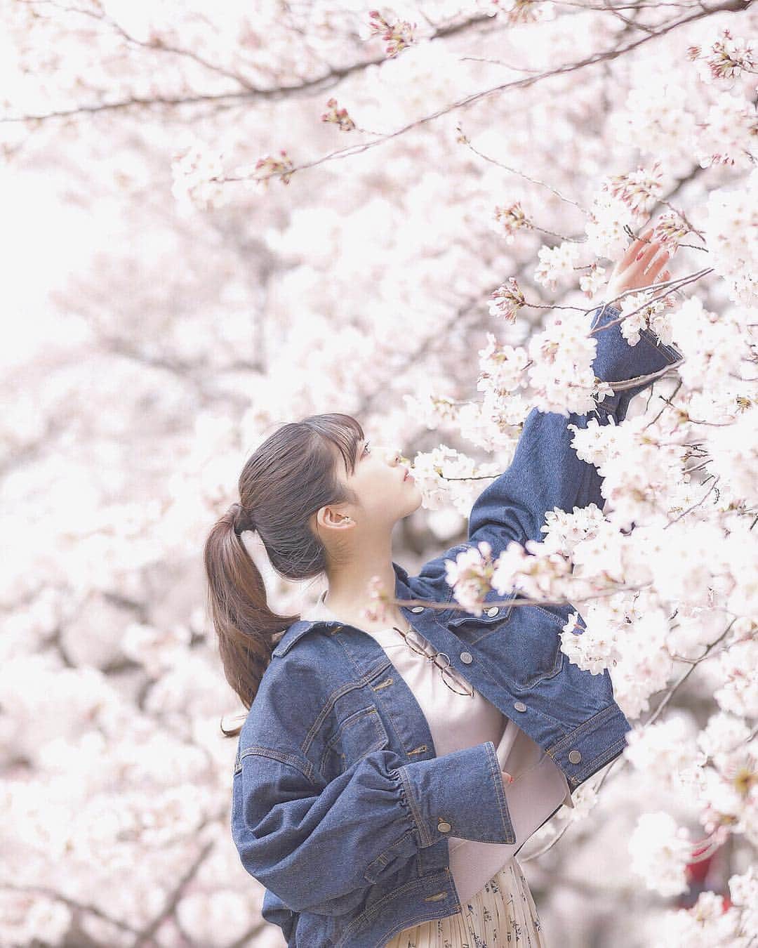 木戸楓のインスタグラム：「これ一番好き☺︎ #桜 #春 #spring #photo #ポニーテール #ジージャン」