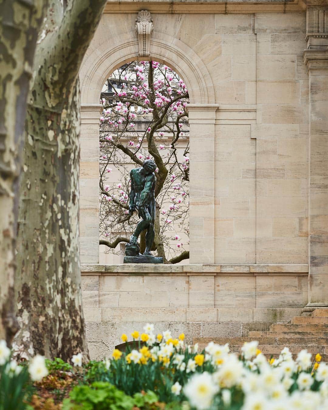 フィラデルフィア美術館さんのインスタグラム写真 - (フィラデルフィア美術館Instagram)「The gardens are in bloom and spring is the perfect time to visit the #RodinMuseum. • Installation view of “Adam,” modeled in clay 1880–81 by Auguste Rodin; cast in bronze 1925 by Alexis Rudier」4月15日 21時14分 - philamuseum