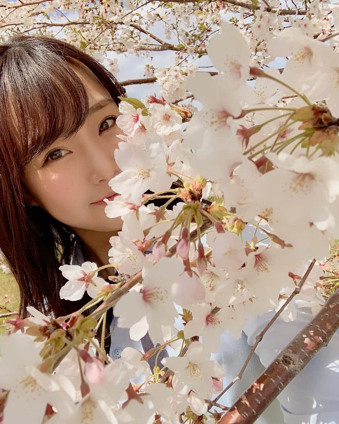 加藤夕夏さんのインスタグラム写真 - (加藤夕夏Instagram)「﻿ sakura🥺🌸﻿ ﻿ ﻿ #桜﻿」4月15日 21時51分 - uuka_nmb