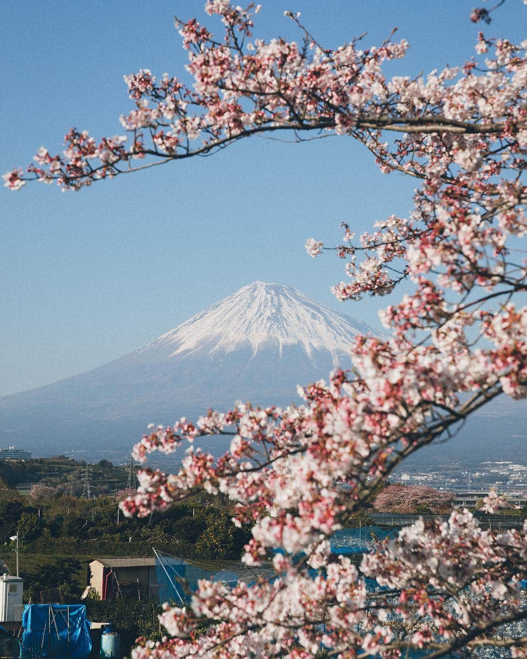 Yuma Yamashitaのインスタグラム：「Feel #inspirationcultmag」