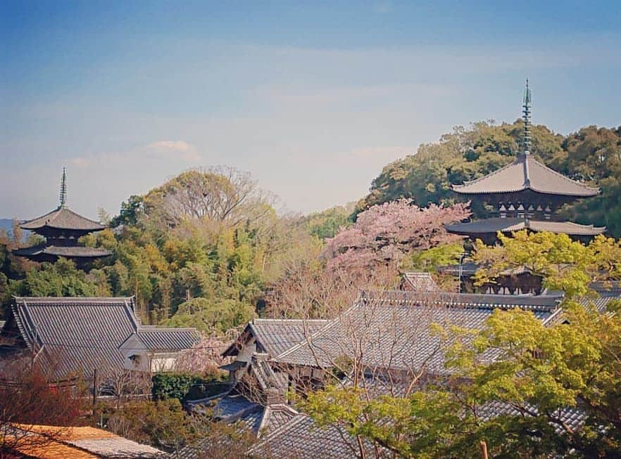 和田益典のインスタグラム