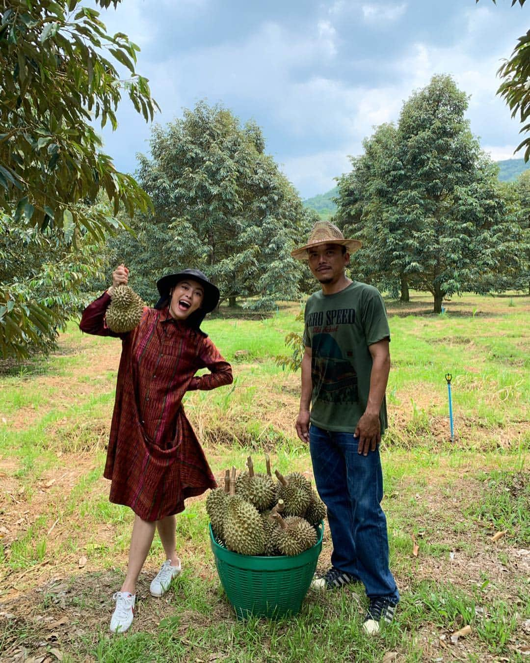 Amata Chittaseneeさんのインスタグラム写真 - (Amata ChittaseneeInstagram)「Durian-The king of fruits - 🤗 ทุเรียนป่าละอู  ออกจากป่าเชียงดาว ไปอีกป่า 55 - วันนี้ใส่มัดหมี่โฮลเกียตริ ทอด้วยมัดหมี่โฮลล้วนๆๆโดยดึงให้มันตรงตามมัดหมี่. ทอแบบไม่ได้ดึงให้เอียง  โฮลเกียตริซอด - #pearypiewearsthaifabric」4月15日 22時28分 - pearypie