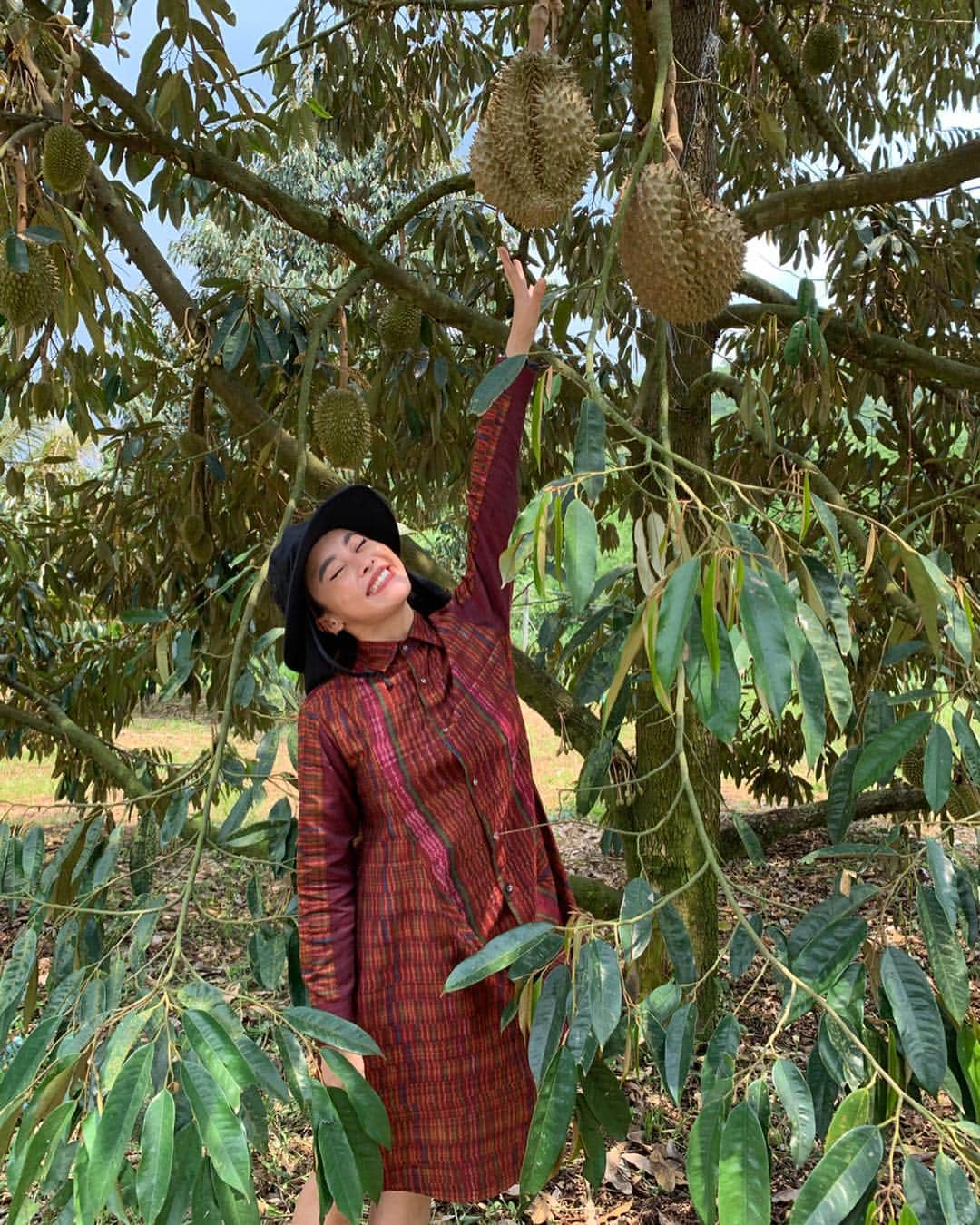 Amata Chittaseneeさんのインスタグラム写真 - (Amata ChittaseneeInstagram)「Durian-The king of fruits - 🤗 ทุเรียนป่าละอู  ออกจากป่าเชียงดาว ไปอีกป่า 55 - วันนี้ใส่มัดหมี่โฮลเกียตริ ทอด้วยมัดหมี่โฮลล้วนๆๆโดยดึงให้มันตรงตามมัดหมี่. ทอแบบไม่ได้ดึงให้เอียง  โฮลเกียตริซอด - #pearypiewearsthaifabric」4月15日 22時28分 - pearypie