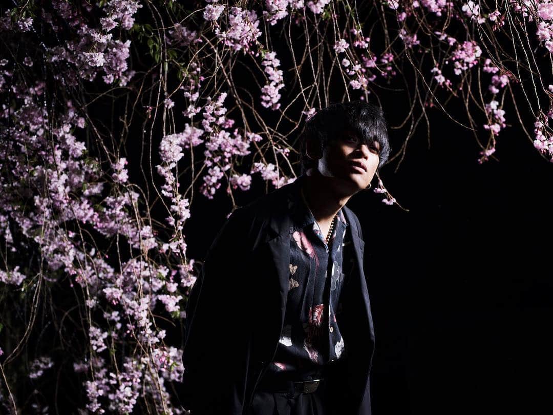 山中拓也さんのインスタグラム写真 - (山中拓也Instagram)「夜桜の下 枝垂れる photo by @eguma」4月15日 22時37分 - oraltakuya