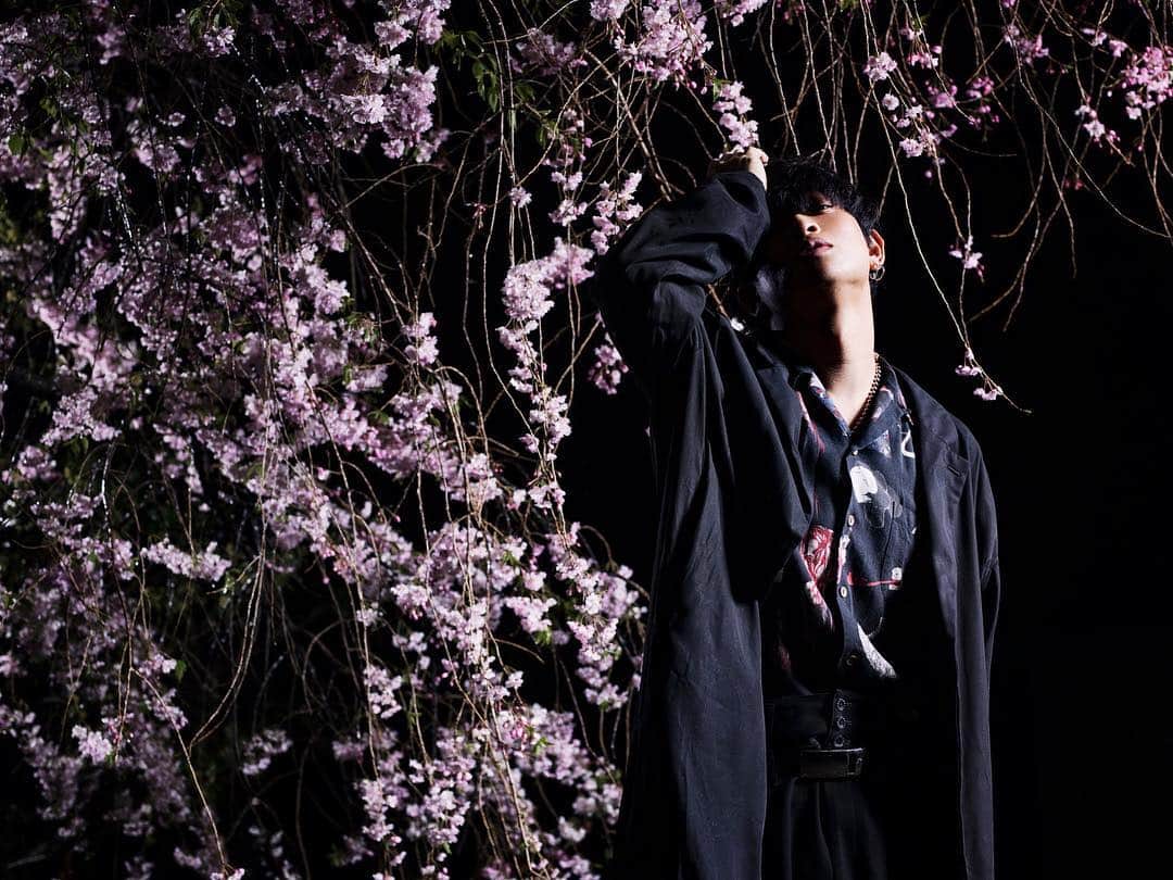 山中拓也さんのインスタグラム写真 - (山中拓也Instagram)「夜桜の下 枝垂れる photo by @eguma」4月15日 22時37分 - oraltakuya