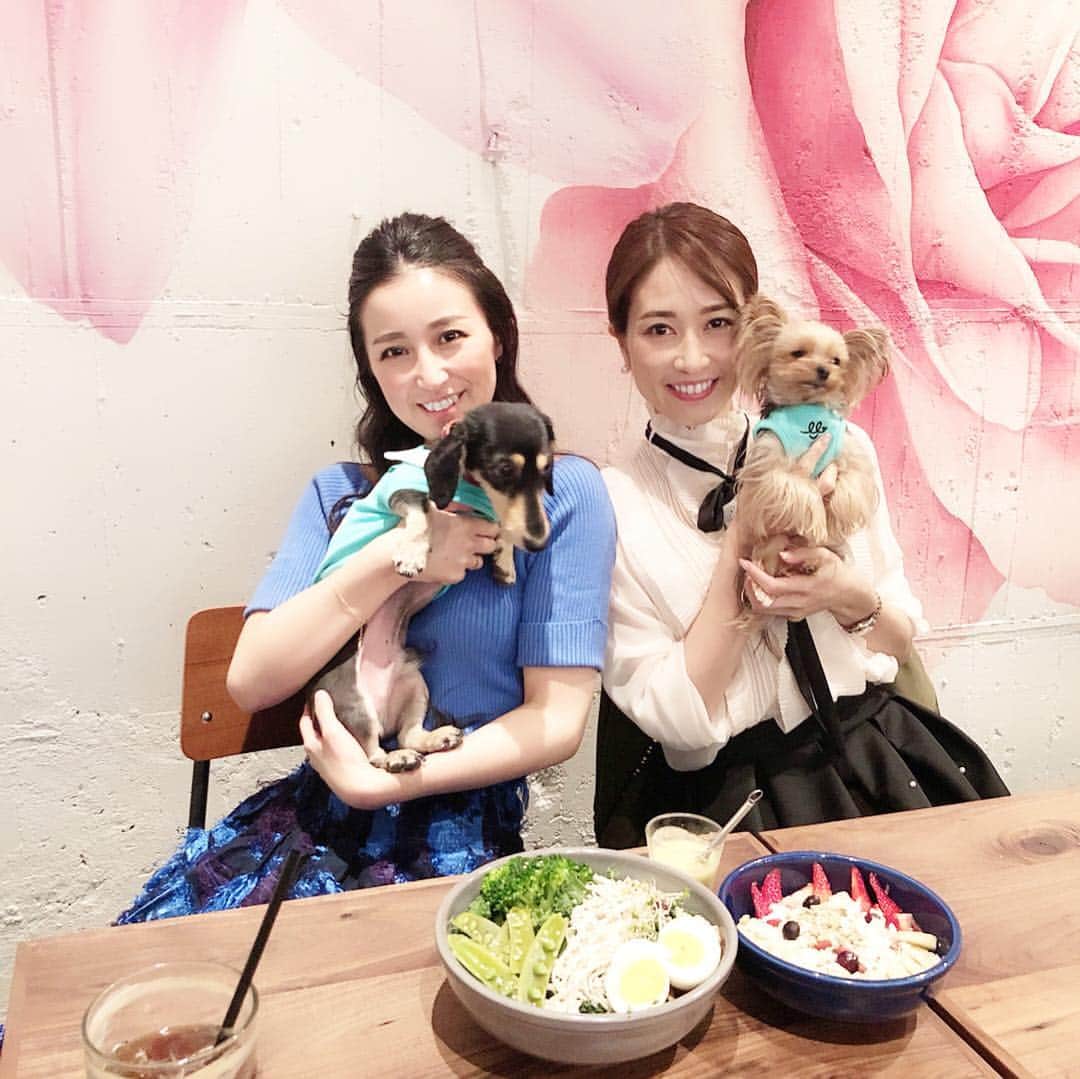KAORI.OMURA 大村香織さんのインスタグラム写真 - (KAORI.OMURA 大村香織Instagram)「おはヨーキー👸 ・ ハワイの思い出会を開きました☺︎ ・ ワンコ達へお土産に買った @lunabluehawaii のお揃いのお洋服を着せて集合なのでドレスコード👗をブルーにしたのに… ・ …したのに、すっかりなんで私、モノトーン😂 ・ 姫ちゃんに着せるのは覚えていたんだけどなぁ💦 ・ すみません。w ・ ハワイという事でアサイーボウルを食べれるお店で☺︎ @thebowl_organic ・ ・ あーまたハワイに行きたい🌺 ・ #思い出会#ハワイ#アサイーボウル #表参道カフェ#表参道#わんこ#わんこ会#ヨーキー#ダックス#アラフォー#アラフォーライフ#わんこ好き#愛犬#ランチ#lunch#lunabluehawaii #ルナブルー#ハワイフード#スーパーフード#ヘンプサラダ」4月16日 9時35分 - kaori.omura