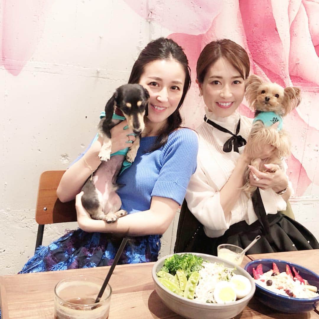 KAORI.OMURA 大村香織さんのインスタグラム写真 - (KAORI.OMURA 大村香織Instagram)「おはヨーキー👸 ・ ハワイの思い出会を開きました☺︎ ・ ワンコ達へお土産に買った @lunabluehawaii のお揃いのお洋服を着せて集合なのでドレスコード👗をブルーにしたのに… ・ …したのに、すっかりなんで私、モノトーン😂 ・ 姫ちゃんに着せるのは覚えていたんだけどなぁ💦 ・ すみません。w ・ ハワイという事でアサイーボウルを食べれるお店で☺︎ @thebowl_organic ・ ・ あーまたハワイに行きたい🌺 ・ #思い出会#ハワイ#アサイーボウル #表参道カフェ#表参道#わんこ#わんこ会#ヨーキー#ダックス#アラフォー#アラフォーライフ#わんこ好き#愛犬#ランチ#lunch#lunabluehawaii #ルナブルー#ハワイフード#スーパーフード#ヘンプサラダ」4月16日 9時35分 - kaori.omura