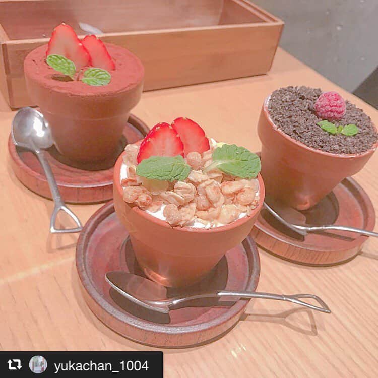 ハレノヒのインスタグラム：「#repost @yukachan_1004 via @PhotoAroundApp ・ 植木鉢食べたよ。 スプーンがスコップになってるの。 ・ #新宿 #新宿カフェ #ルミネエスト #ハレノヒ #植木鉢 #インスタ映え #cute #delicious #instagood #いいね返し @yukachan_100様 ご来店ありがとうございます😊お写真も嬉しいです♪ #ここでしか食べられない#ケーキ#フラワーポット#スイーツ#harenohi#cafe#cute#tokyo#shinjuku#lumineest」