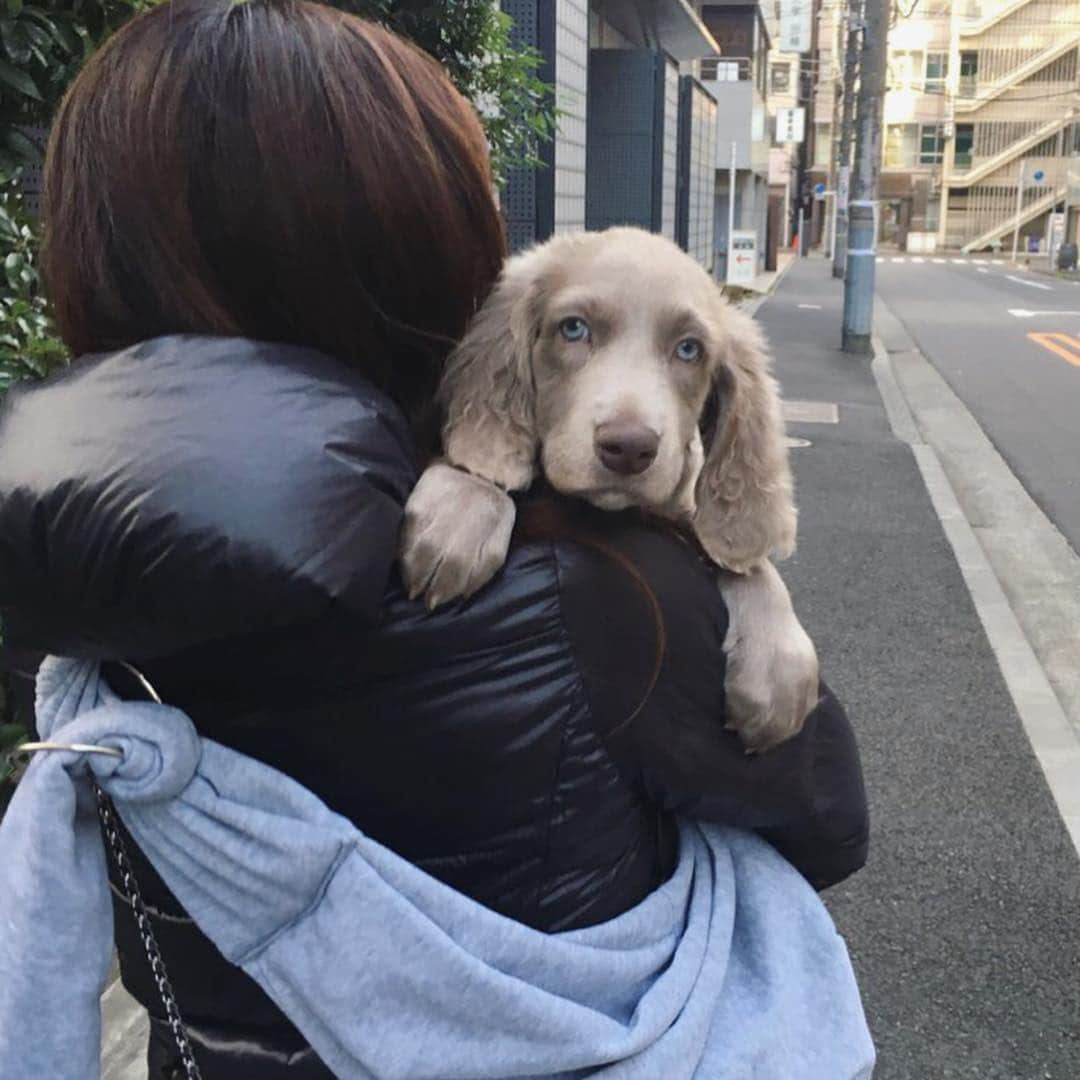 宮前真樹のインスタグラム