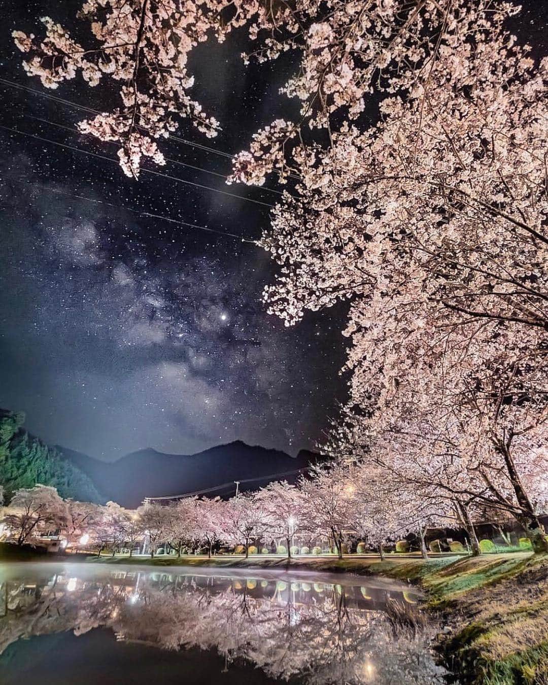 はなまっぷ❁日本の花風景さんのインスタグラム写真 - (はなまっぷ❁日本の花風景Instagram)「🍃🌸はなまっぷ平成最後の桜まつり🌸🍃 * @k_aug23 さんの 平成の桜に花まるを💮 * 平成を彩る日本の美しい桜をありがとうございます😊🌸🍃 * 奈良 Nara Pref. * 見頃を過ぎている場所もご紹介しています。 お出かけの際はHP等で最新の情報をご確認くださいね🙏🌸🍃 * 🌸•••🍃•••🌸•••🍃•••🌸•••🍃•••🌸 * 🌸桜まつり概要🌸 * 期間:平成最後の日まで タグ:#はなまっぷ * #はなまっぷ  のタグの中から、桜のお写真をどんどんご紹介させていただきます。期間中はランダムに、複数枚投稿でもご紹介させていただく場合がございます。 * #桜#sakura#花見#さくら#日本#春#花#平成最後の#満開 * 🌸•••🍃•••🌸•••🍃•••🌸•••🍃•••🌸 * はなまっぷより * 💌LINEスタンプ「はなまっぷちゃん」絶賛発売中！みなさんのLINEにも花まるを💮 💌はなまっぷ本、Amazonや全国の書店さんで満開です！ぜひお手にとっていただけると嬉しいです🌸 * LINEスタンプ、はなまっぷ本は、プロフ欄記載のTwitterアカウントよりご確認ください。 * 🌸•••🍃•••🌸•••🍃•••🌸•••🍃•••🌸 *」4月16日 8時15分 - hanamap