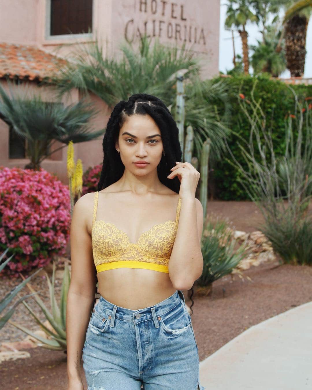 シャニーナ・シャイクのインスタグラム：「💛🌴 think I’ll be back next weekend」