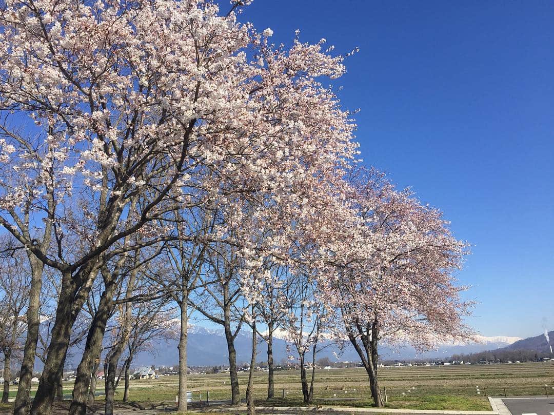 チックンとプーちゃんのふるさと? From Japan??のグルメインスタ