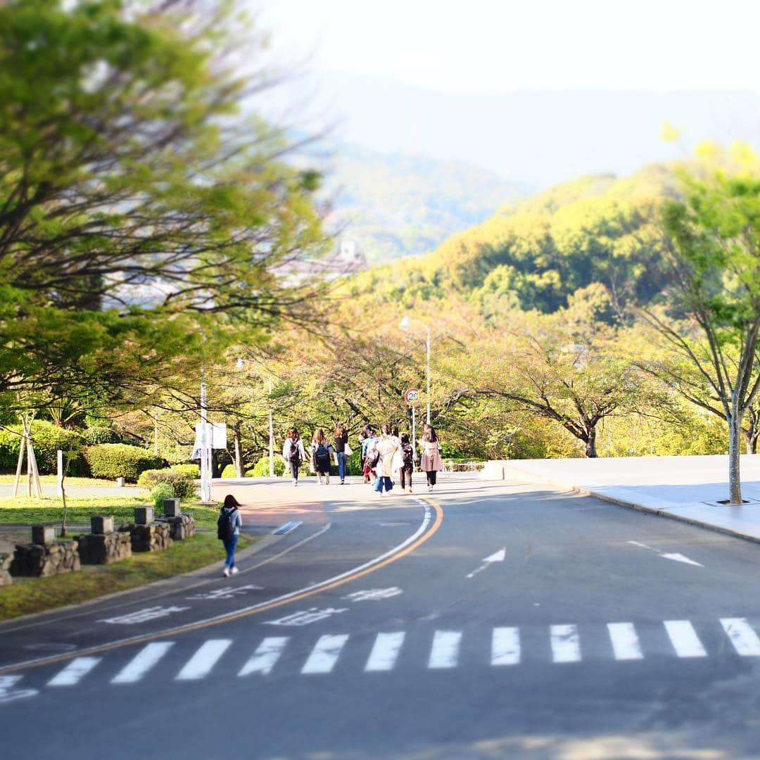 福岡女子短期大学さんのインスタグラム写真 - (福岡女子短期大学Instagram)「@福岡女子短期大学 . おはようございます。福岡女子短期大学です🎀 昨日は春らしい🌼天気でした。 今日も良い天気になりそうです☀️ 皆さまにとって素敵な1日になりますように😉✨✨✨ . #福岡女子短期大学 #福女短 #福岡県 #太宰府市 #福岡 #太宰府 #4月16日 #天気 #晴れ #青空 #気持ちがいい #春 #春らしい #大学 #短大 #短大生 #女子大生 #キャンパス #大学校舎 #新学期 #写真 #スナップ写真 #音楽科 #福岡女子短期大学音楽科 #スナップ #スナップショット #写真好きな人と繋がりたい #写真撮るのが好きな人と繋がりたい #ダレカニミセタイフウケイ #街角スナップ . ======[ 資料請求 ]====== ． 新しい福岡女子短期大学の資料請求（2020大学案内）を無料送付中です。本学ホームページからお気軽に申し込みください。 . 子ども学科/健康栄養学科 音楽科/文化教養学科 ． 福岡女子短期大学 住所：‪‪福岡県太宰府市五条四丁目16番1号‬‬ tel：‪‪092-922-4034‬‬（代表） . =======================」4月16日 8時53分 - fukuoka_wjc