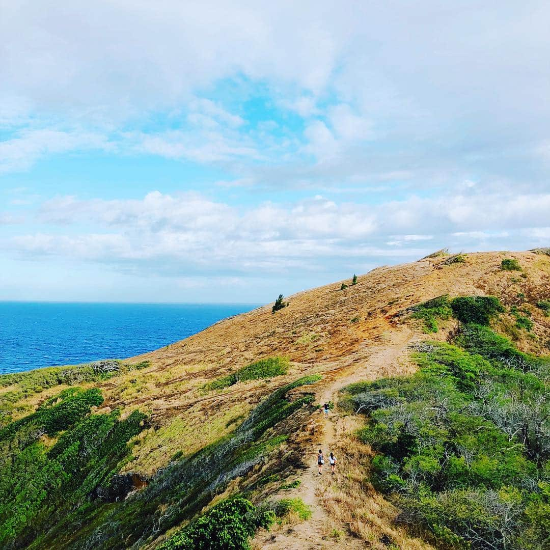 エビアン・クーさんのインスタグラム写真 - (エビアン・クーInstagram)「Hike of the day🏔🗻⛰ 📍Hanauma bay bridge hike, you will get the best view of the coast, one of my favorite hikes here in Hawaii. What other hikes you guys have done here in Hawaii? Share some with me!  今日のハイキングスポットはハナウマベイブリッジに行きました。 簡単ではないけど途中がコンクリートだから初心者でも🅾️ スワイプしてもっと写真見てね〜 皆んなはどこでハイキングするの？」4月16日 9時15分 - avian_official