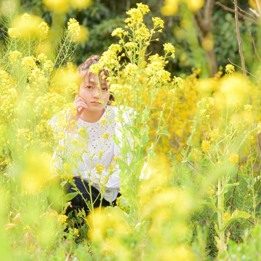 のインスタグラム：「菜の花畑とか行きたいなぁ。  今日もあったかい幸せ🌞」