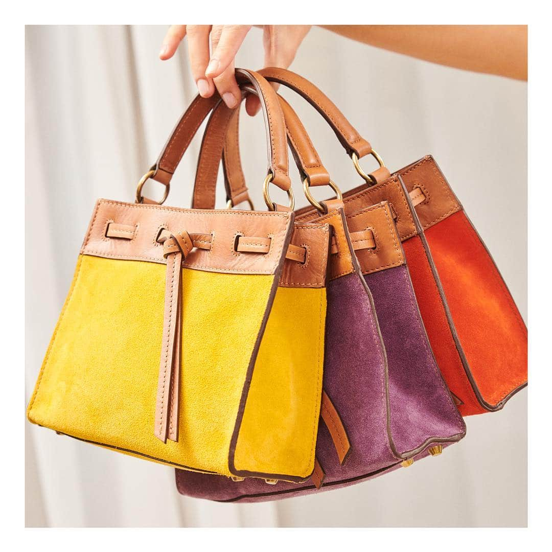 ジェラールダレルさんのインスタグラム写真 - (ジェラールダレルInstagram)「Small Simone bag!  Lequel choisiriez-vous ? 💛💜🧡 Pick your color ! #gerarddarel #simonebag #handbag #ss19darel #darel」4月16日 0時31分 - gerarddarel