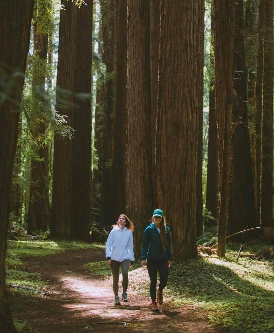 エディー・バウアーさんのインスタグラム写真 - (エディー・バウアーInstagram)「Another gorgeous hike, another reason to preserve our forests. Tag us in your favorite #WhyIHike adventures. 📷: @dani_the_explorer Photographer: @michaelmatti」4月16日 1時00分 - eddiebauer