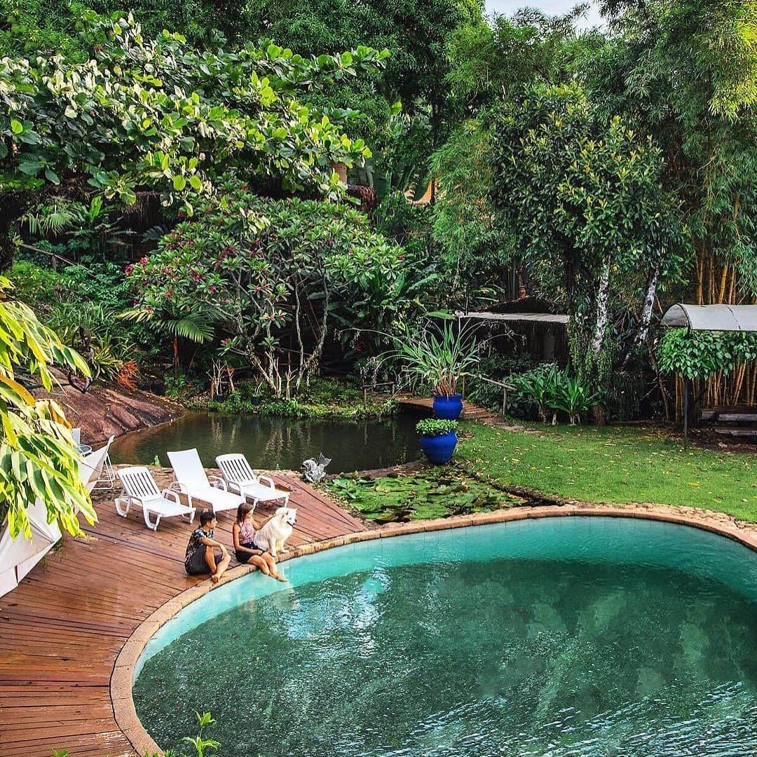 Airbnbさんのインスタグラム写真 - (AirbnbInstagram)「This lush garden house by the beach features two pools, one waterfall and some very welcoming resident pups. Your Superhost, Cristina, can point you toward adventures like rainforest hikes, windsurfing on the São Sebastião Channel or a day trip to Ilha das Cabras to snorkel among turtles and seahorses.  Photo: @numpulo」4月16日 1時18分 - airbnb