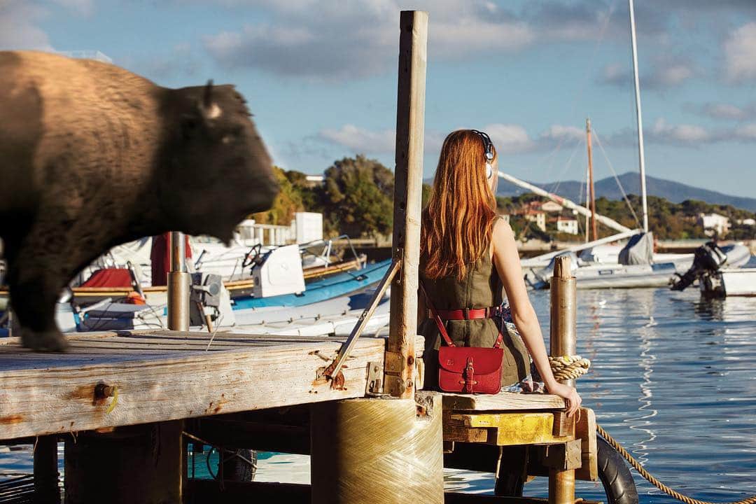 イルビゾンテのインスタグラム：「It is sunset time...give yourself a deep and relaxing mental journey under the protective gaze of a bison. ☆ #ILBISONTE #SS19 #PEACEFULLYTOGETHER」