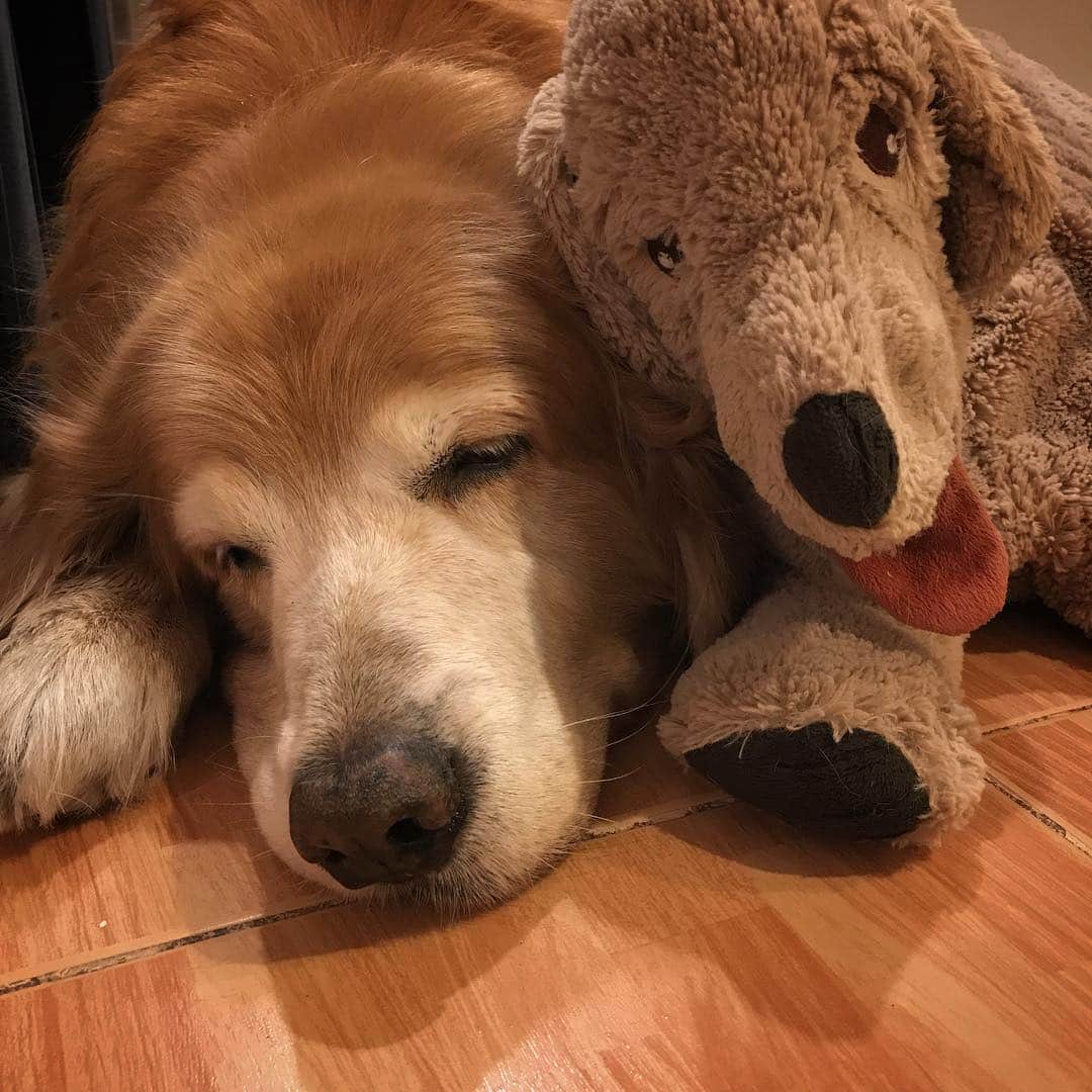 Hoykong&Plamuekのインスタグラム：「Good night💤 see you tomorrow ❤️ #hoykong」