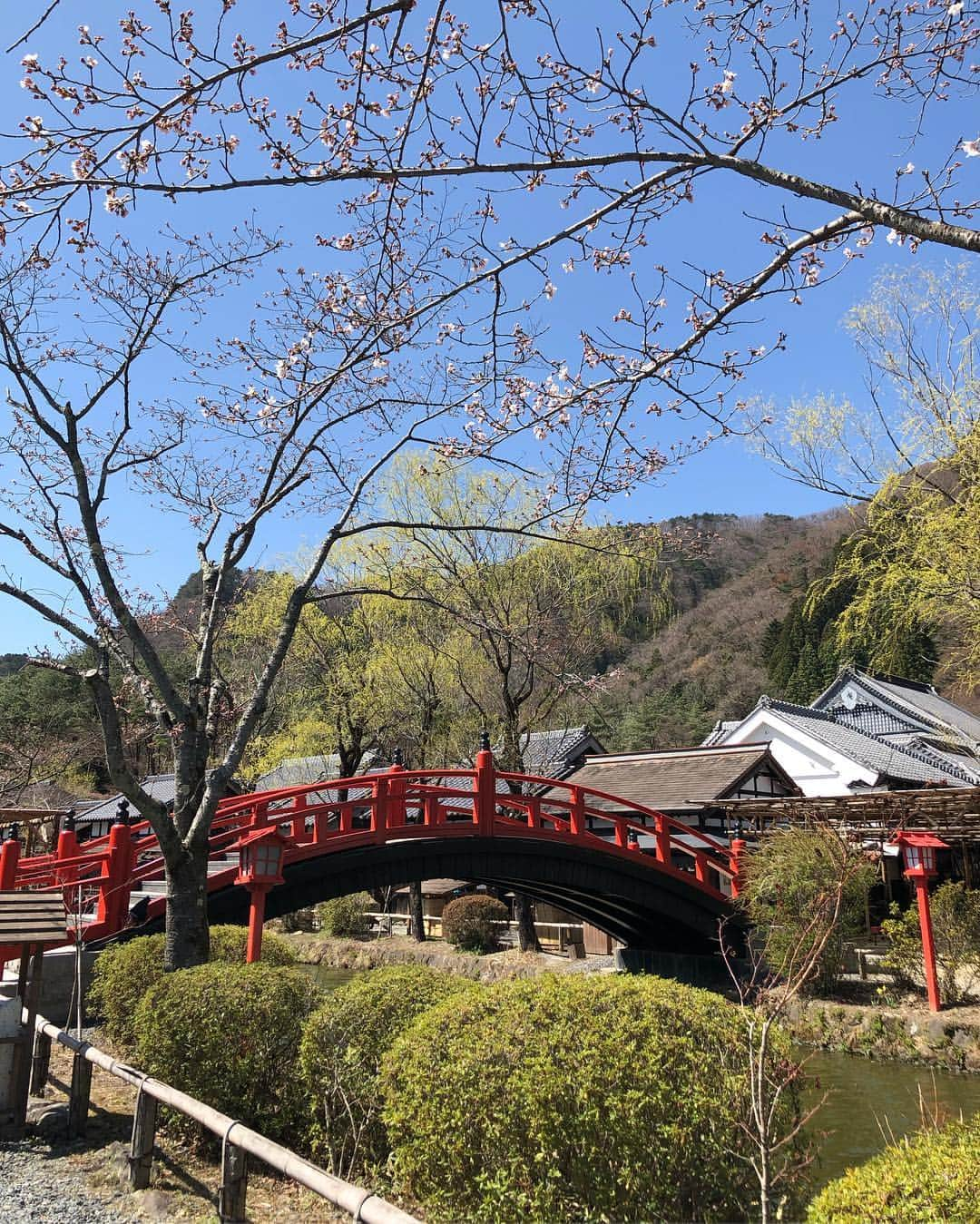 尾崎愛さんのインスタグラム写真 - (尾崎愛Instagram)「「日光江戸村」、今は「江戸ワンダーランド日光江戸村」というんですね！写真ではまだ咲いてないけど、お花見のイベントでした🌸花見弁当がキレイ🍡✨ 今度はゆっくり回ってみたいな🤗 #江戸ワンダーランド #江戸ワンダーランド日光江戸村 #日光江戸村 #日光 #花見 #花見弁当 #弁当 #桜 #美味しい #グルメ #japan #nikko #edowonderland #travel #trip #lunchbox #food #photooftheday」4月16日 2時13分 - aiozaki0422