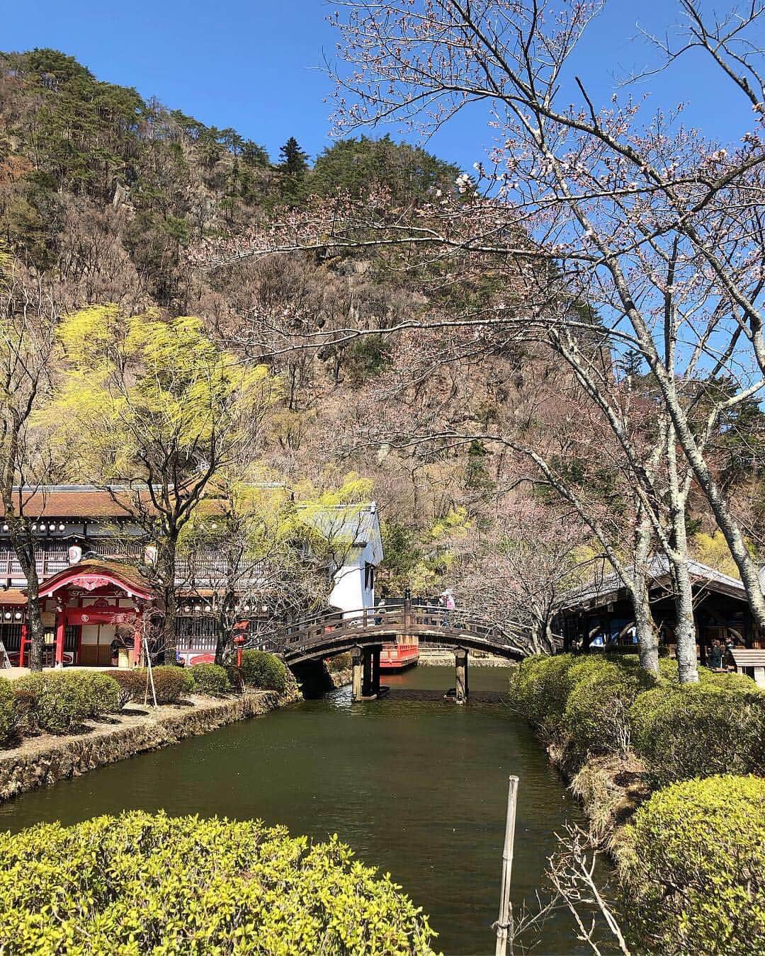 尾崎愛さんのインスタグラム写真 - (尾崎愛Instagram)「「日光江戸村」、今は「江戸ワンダーランド日光江戸村」というんですね！写真ではまだ咲いてないけど、お花見のイベントでした🌸花見弁当がキレイ🍡✨ 今度はゆっくり回ってみたいな🤗 #江戸ワンダーランド #江戸ワンダーランド日光江戸村 #日光江戸村 #日光 #花見 #花見弁当 #弁当 #桜 #美味しい #グルメ #japan #nikko #edowonderland #travel #trip #lunchbox #food #photooftheday」4月16日 2時13分 - aiozaki0422