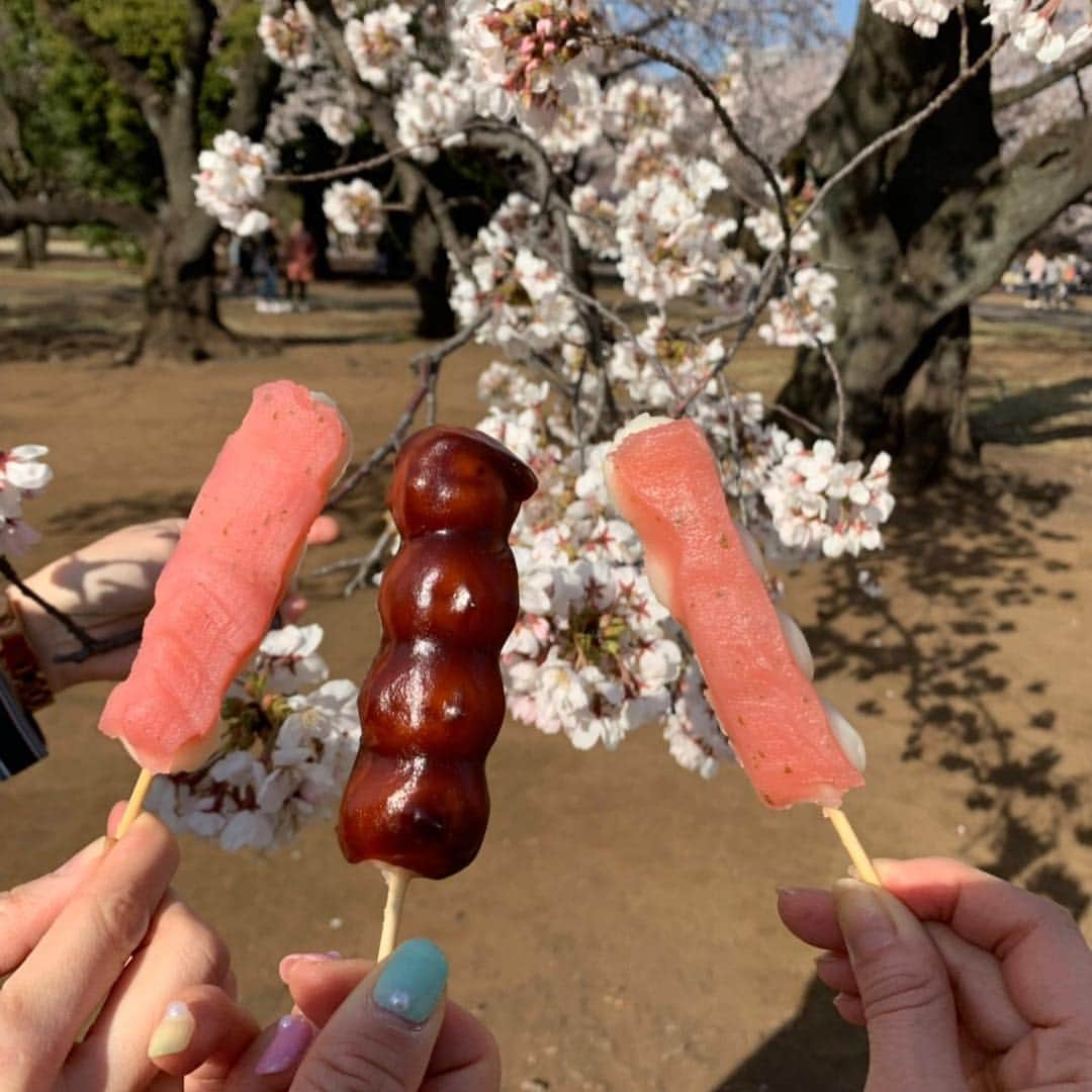 大湯みほさんのインスタグラム写真 - (大湯みほInstagram)「……… season🌸過ぎちゃったけど✨花よりだんご🍡✨シスターズと😊この、さくらあん🌸🍡団子がほんっと美味しかった！！また、来年会おうね🌸 ・ #さくら #桜 #新宿御苑 #桜吹雪 #🌸 #花よりだんご #🍡 #花見 #ぬか漬け #ぬか漬けマイスター #大湯みほ」4月16日 2時32分 - nukazukemiho0320