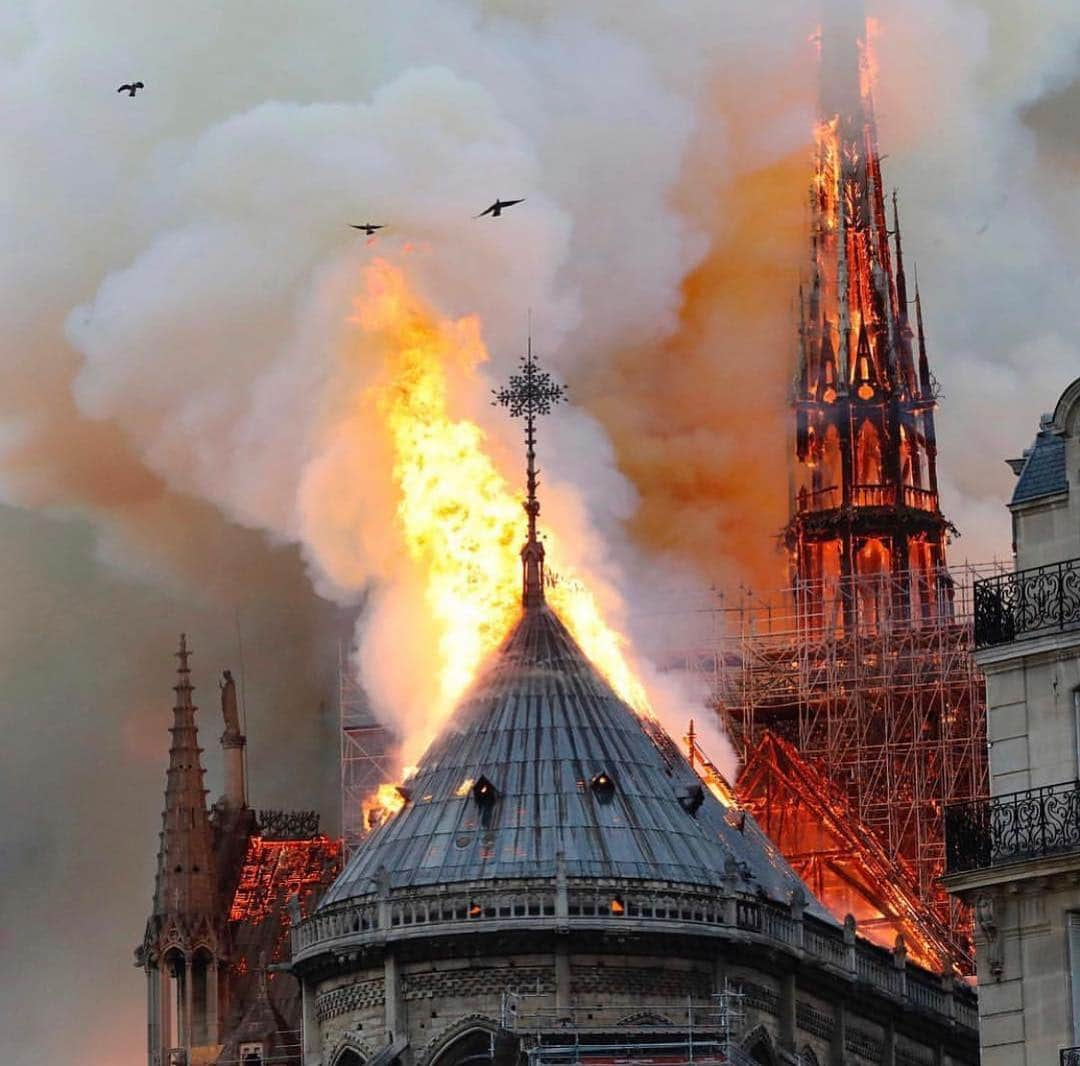 ライアン・テダーさんのインスタグラム写真 - (ライアン・テダーInstagram)「My favorite church in the world is in flames this is killing me God help whoever is fighting this fire #notredame」4月16日 3時15分 - ryantedder