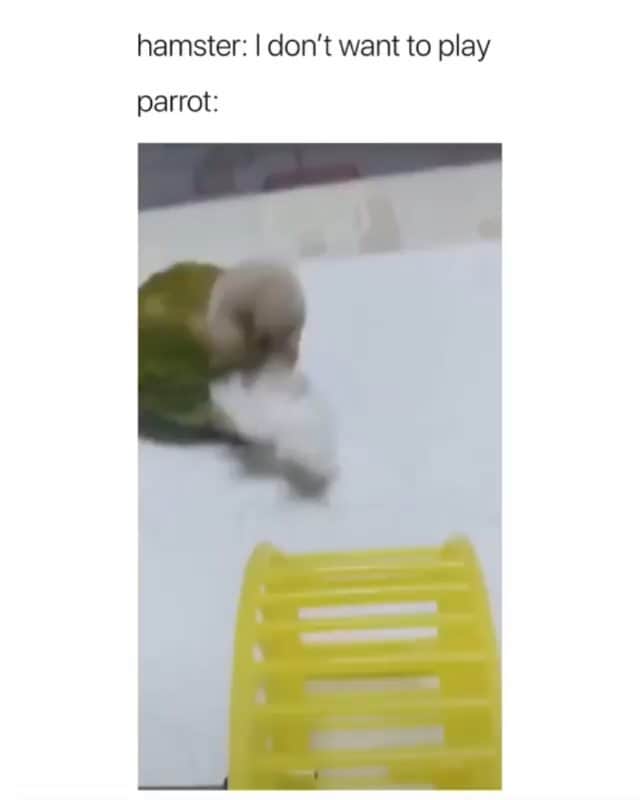 Funny Postsのインスタグラム：「••••••••••• 😂 I'm going to hell for laughing (he's fine) 💬 Video by: Unknown 🎥 Double tap for more videos!」