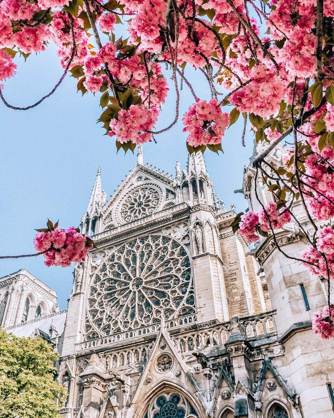 Izkizのインスタグラム：「Heartbreaking to watch this magnificent historical building burning 😢 #NotreDame #Paris」